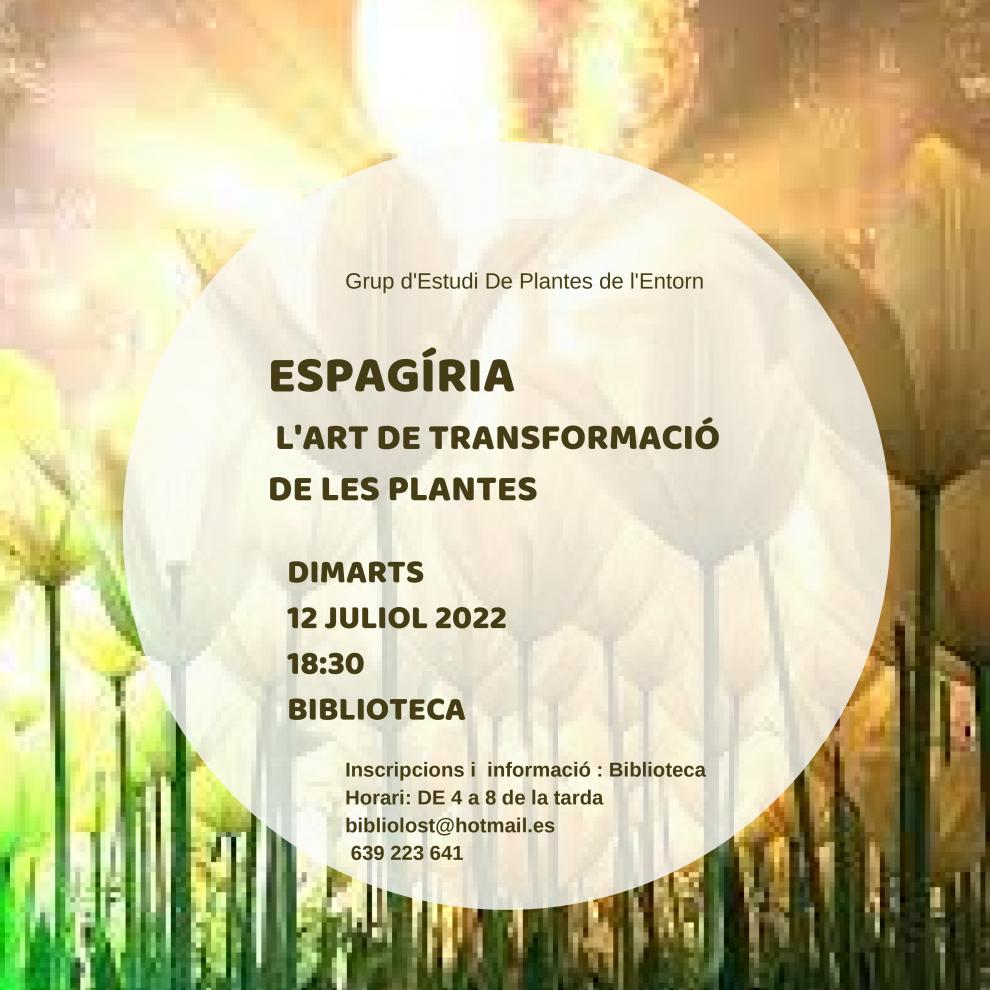 Espagíria. L'Art de transformació de les plantes